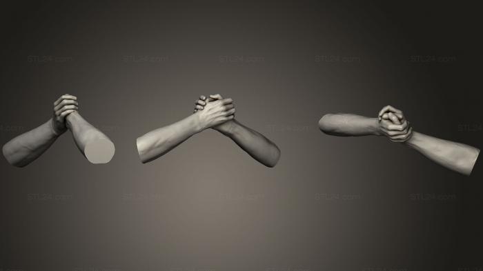 Анатомия скелеты и черепа (Мужские руки 15, ANTM_0831) 3D модель для ЧПУ станка